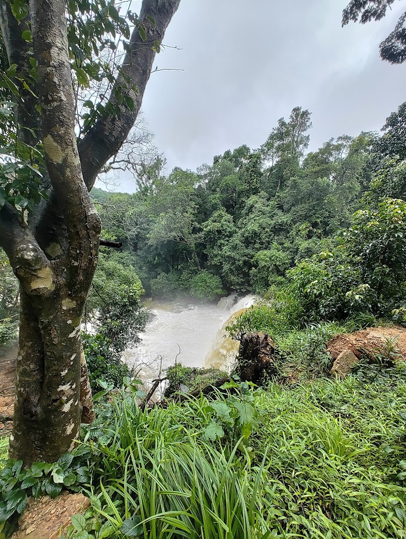 Mookanamane Abbi Falls - Mookanamane Abbi Falls QPMC+V4Q, Jedigadde, Karnataka 573123, India
