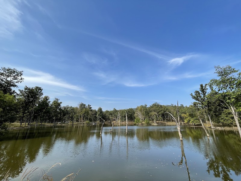 Pench National Park - Pench National Park, Turia ,Tehsil :Kurai, near Turia gate, Madhya Pradesh 480881, India
