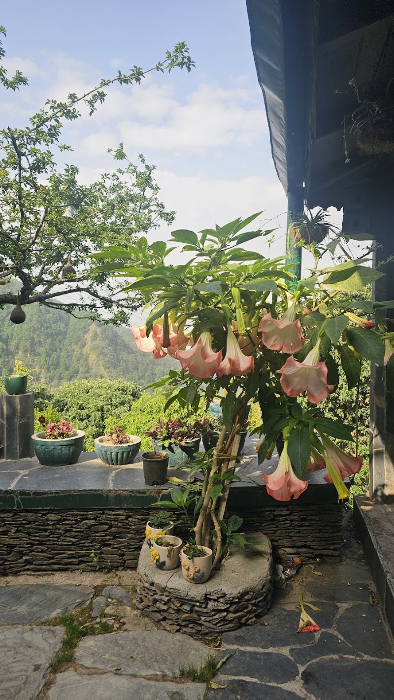 jungle lore birding lodge pangot - jungle lore birding lodge pangot Village Pangot, Kilbury Rd, Via, Budhalakote, Nainital, Uttarakhand 263001, India