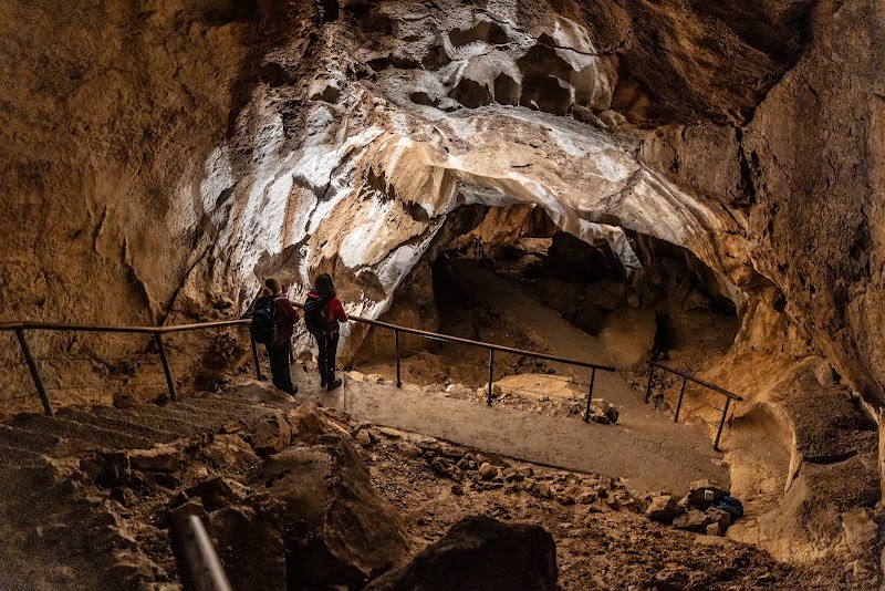 Mammut Cave - Mammut Cave, Winkl 38, 4831 Obertraun, Austria