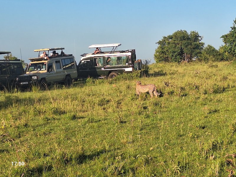 Masai Mara National Reserve Kenya - Masai Mara National Reserve Kenya, Narok, Kenya