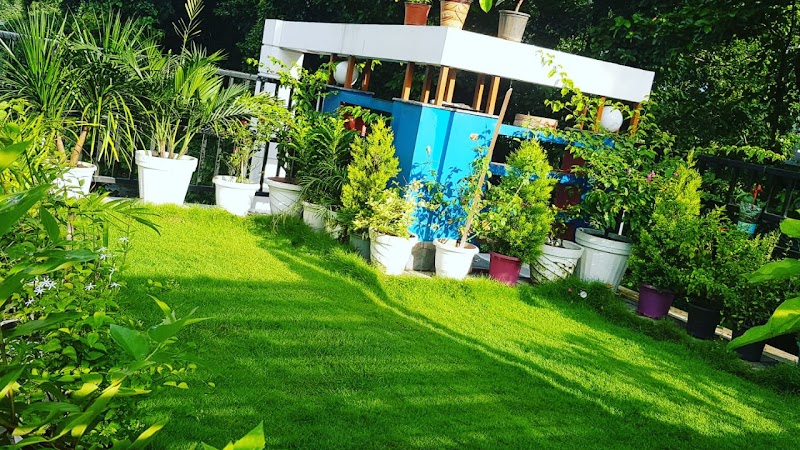 Forestinn Homestay - Forestinn Homestay, Boganvilla Colony, Raipur Rd, Bangakhala, Kidduwala, Dehradun, Ranjhawala, Uttarakhand 248008, India