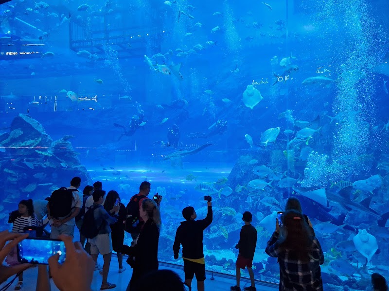 Dubai Aquarium & Underwater Zoo - Dubai Aquarium & Underwater Zoo Dubai - Burj Khalifa - Downtown Dubai - Dubai - United Arab Emirates