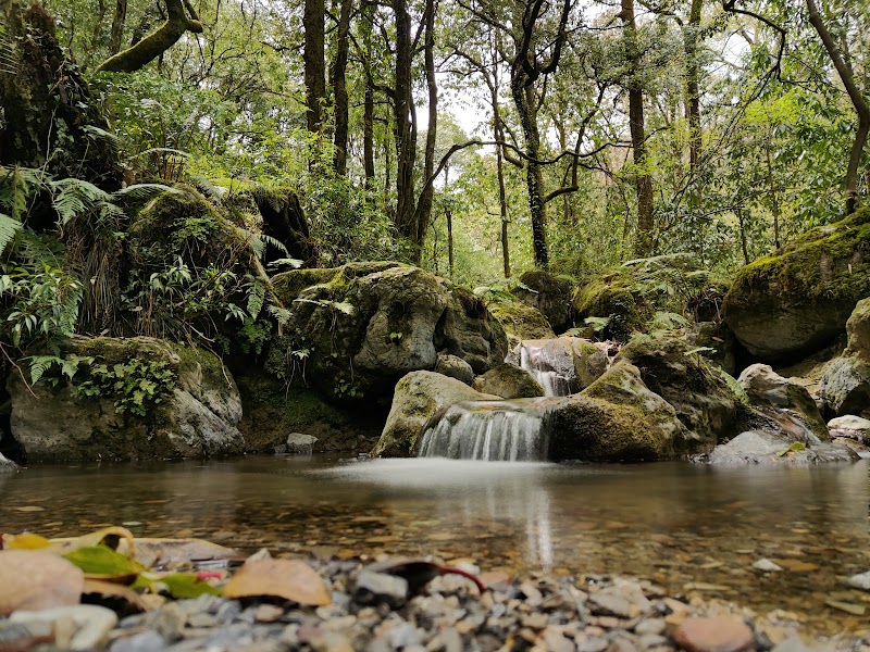 Benog Wildlife Sanctuary - Benog Wildlife Sanctuary Charleville, Mussorie Range, Uttarakhand 248179, India