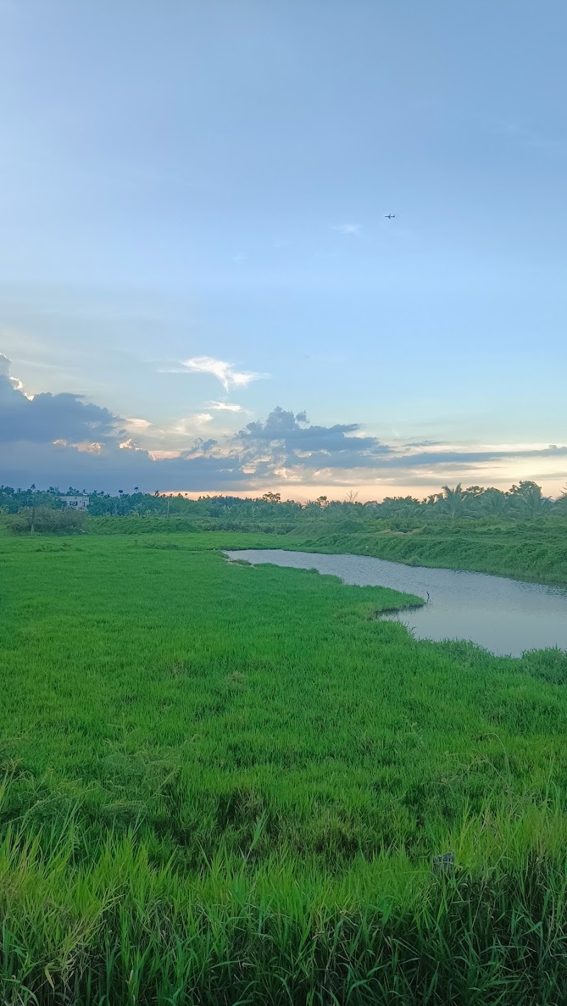 Cam Kim Island - Cam Kim Island, Chậu Cây Cảnh Phân Đất Vi Sinh, thôn 1, Hội An, Đà Nẵng, Vietnam
