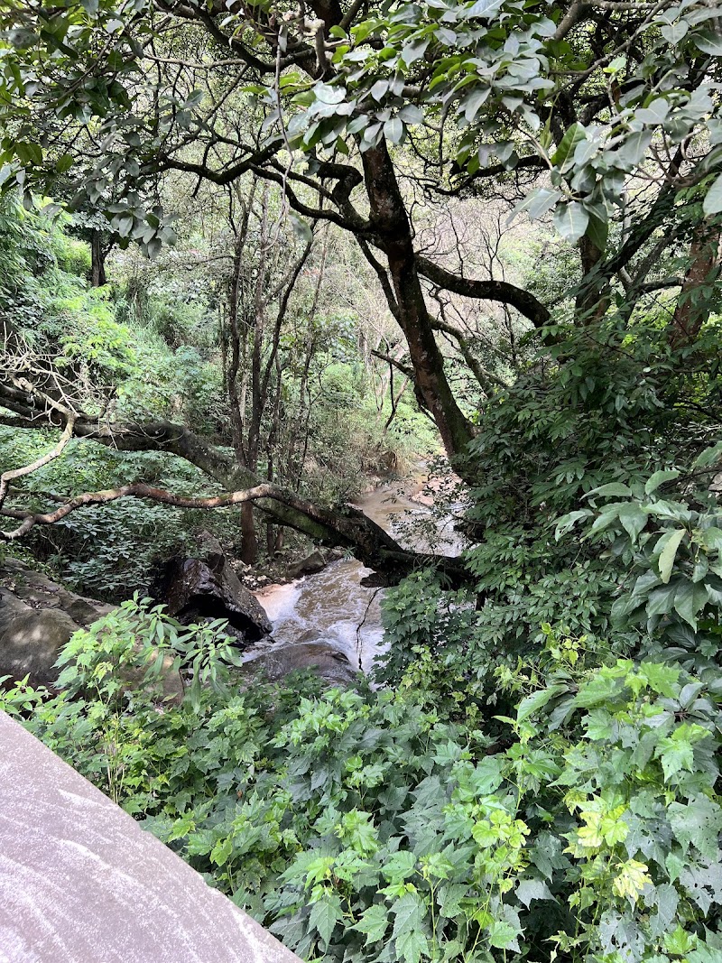 Laws Falls - Laws Falls 8QJX+QX6, Coonoor, Tamil Nadu 643102, India