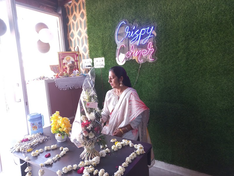 Crispy Corner - Crispy Corner Airport Rd, opposite Pacific University Road, Amrit Nagar, Udaipur, Chandresh Vihar, Rajasthan 313001, India