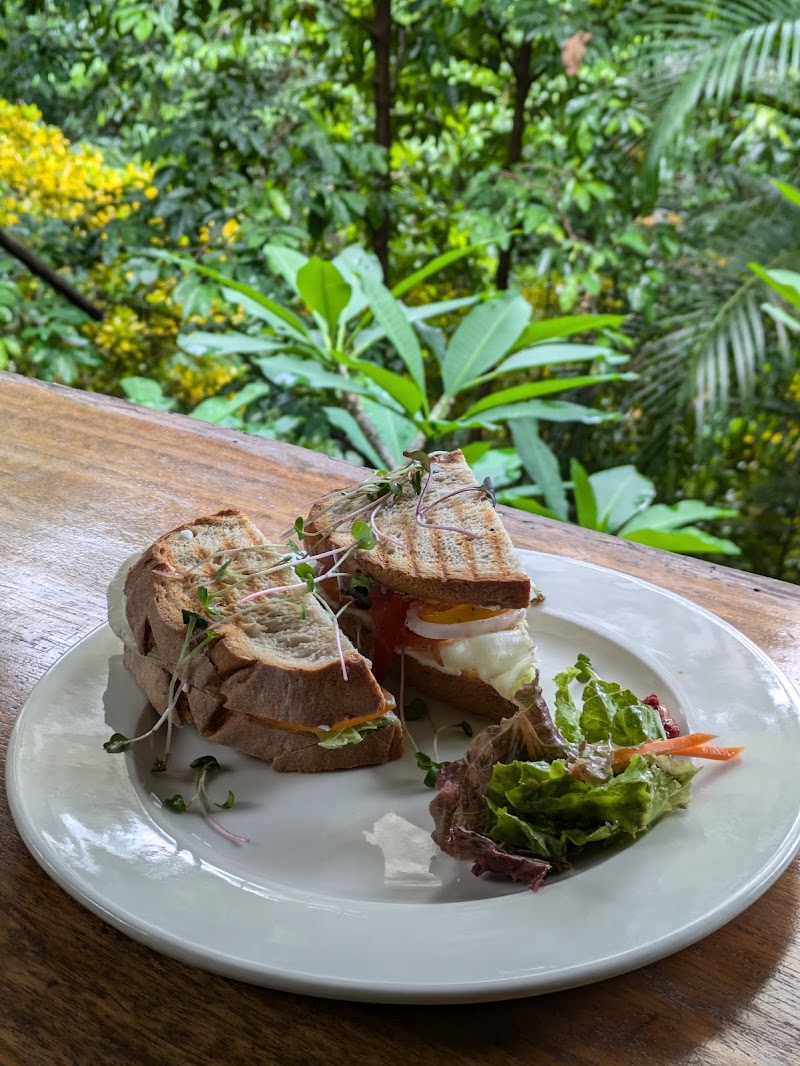 Artjuna Cafe - Panjim - Artjuna Cafe - Panjim 3rd Floor, Satt Adhar House, Lobo Building, 18th June Rd, opp. Titan World, Ozari, Panaji, Goa 403001, India