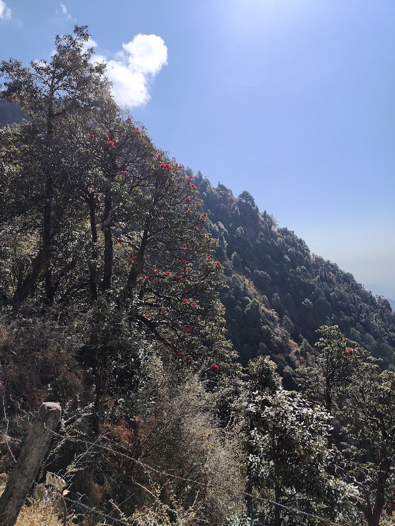The Himalayan Trail - The Himalayan Trail Khanyara Rd, near Shanti Guest House, Sudher, Dharamshala, Himachal Pradesh 176215, India