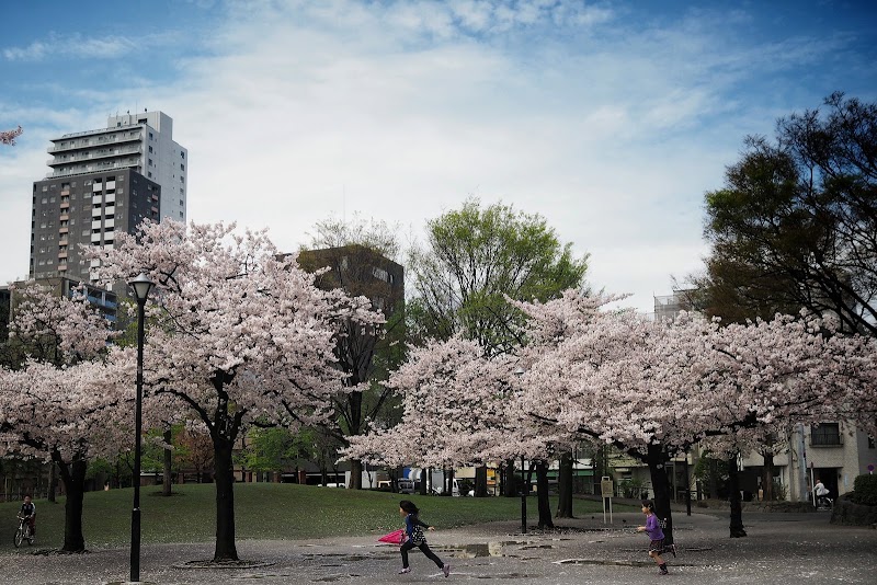 Nippori South Park - Nippori South Park, 5-chōme-19-1 Higashinippori, Arakawa City, Tokyo 116-0014, Japan