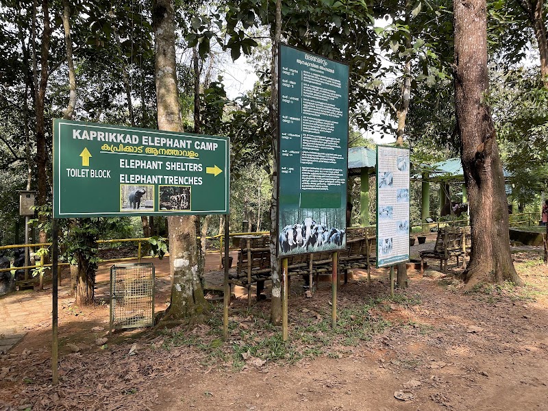 Kodanad Elephant Training Centre - Kodanad Elephant Training Centre Vallom Panamkuzhi Road, PO, Malayattoor, Kaprikad, Kerala 683544, India