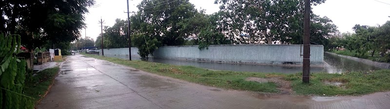 Gandhi Nagar - Gandhi Nagar Suthanthira Ponvizha Nagar, Gandhi Nagar, Vellore, Tamil Nadu 632006, India