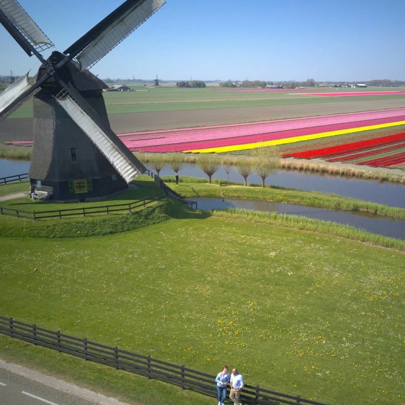 Flagship Tours - Departure Location - Flagship Tours - Departure Location, Termini 27, 1025 AZ Amsterdam, Netherlands