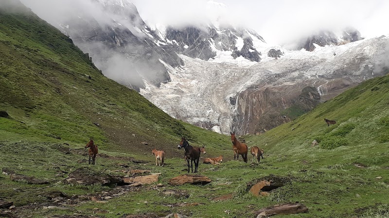 Panchachuli The Nature Home Stay Dantu Darma Valley - Panchachuli The Nature Home Stay Dantu Darma Valley, Village Dantu P.O Dugtu Tehsil, Pithoragarh, Dantu, Uttarakhand 262544, India