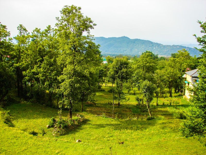 Travelodge Homestay - Travelodge Homestay Vill. Kotli, P.O. Bir, Tehsil Baijnath, Bir, Himachal Pradesh 176077, India