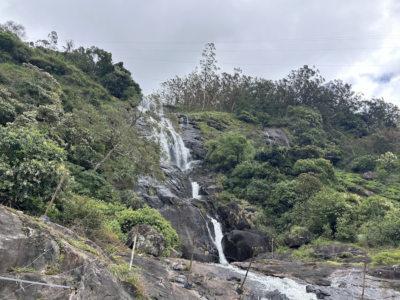 Travel dream destination - Travel dream destination estate, Nullatanni, Mattupetty, Munnar, Kerala 685616, India