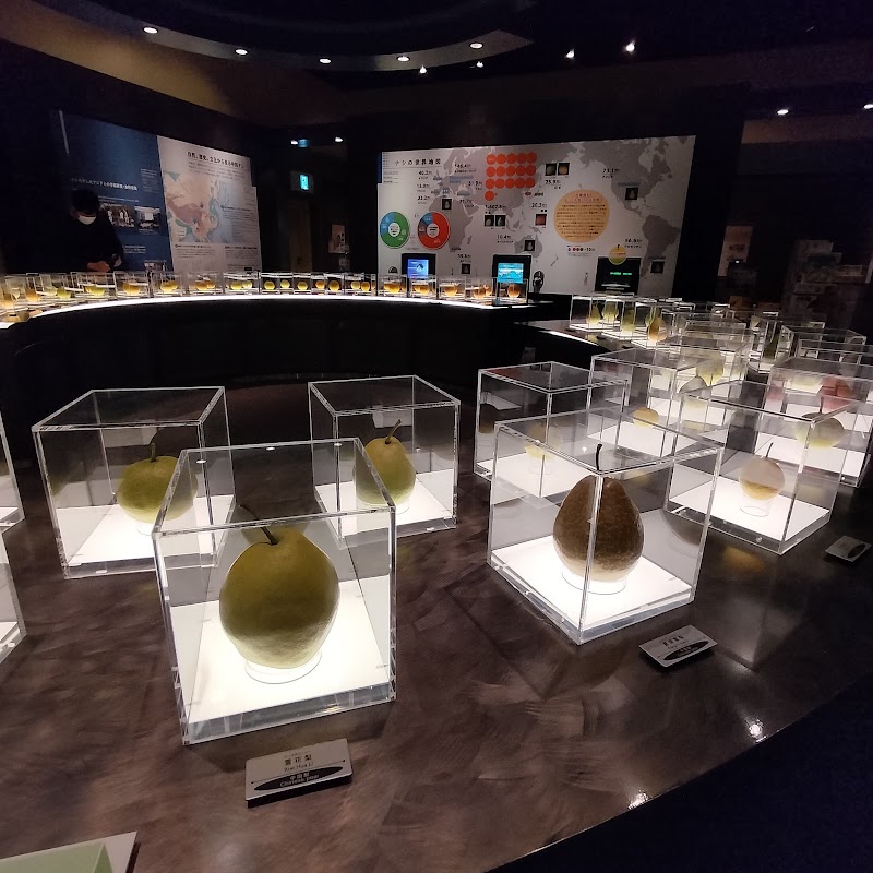 Nashikkokan, Tottori Nijusseiki Pear Museum - Nashikkokan, Tottori Nijusseiki Pear Museum, 198-4 Dakyōjichō, Kurayoshi, Tottori 682-0816, Japan