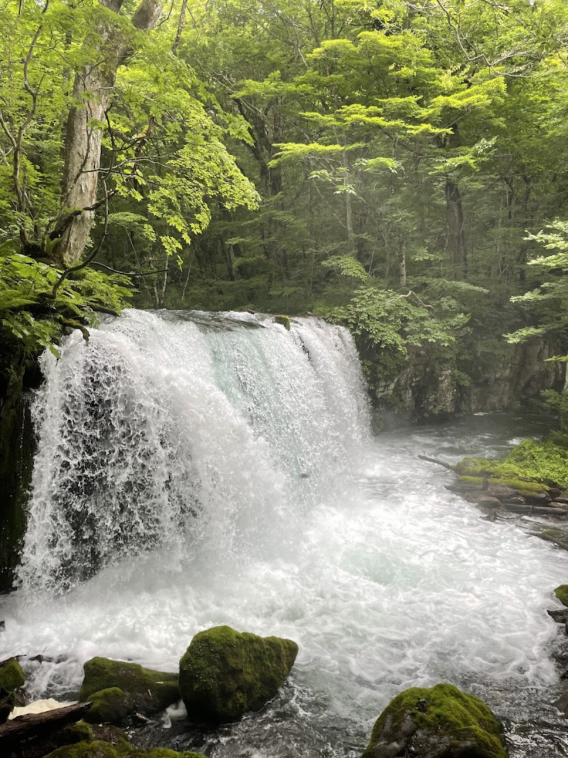 Oirase keiryū Gorge - Oirase keiryū Gorge Japan, 〒034-0301 Aomori, Towada, Okuse, Oirase 奥入瀬川