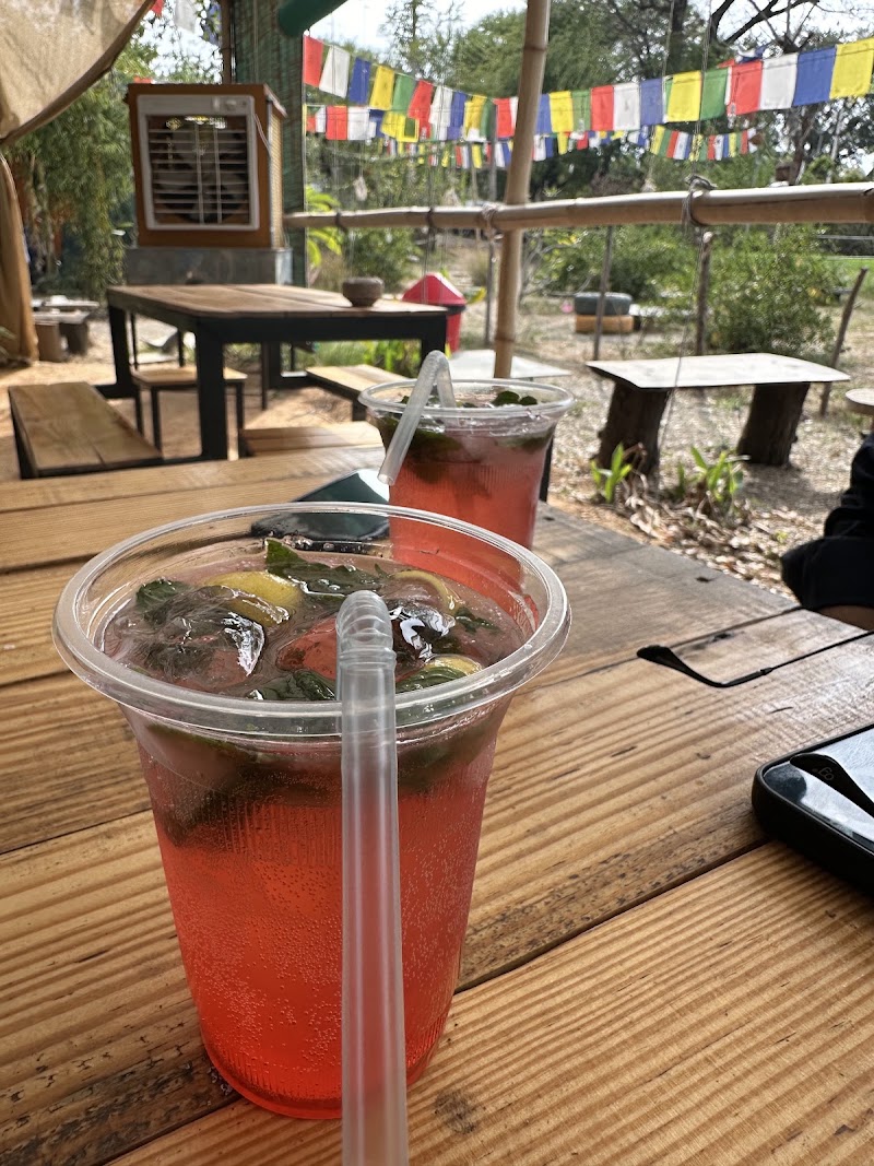 THE COUNTRY SIDE - FARM & CAFE - THE COUNTRY SIDE - FARM & CAFE 1, Liyo ka, Guda, Badi Lake Rd, near Villa Le Palm resort, Udaipur, Liyo Ka Gurha, Rajasthan 313011, India