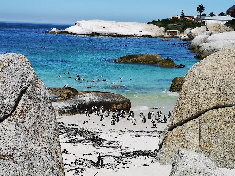 Boulders Beach - Boulders Beach, Simon's Town, Cape Town, 7995, South Africa