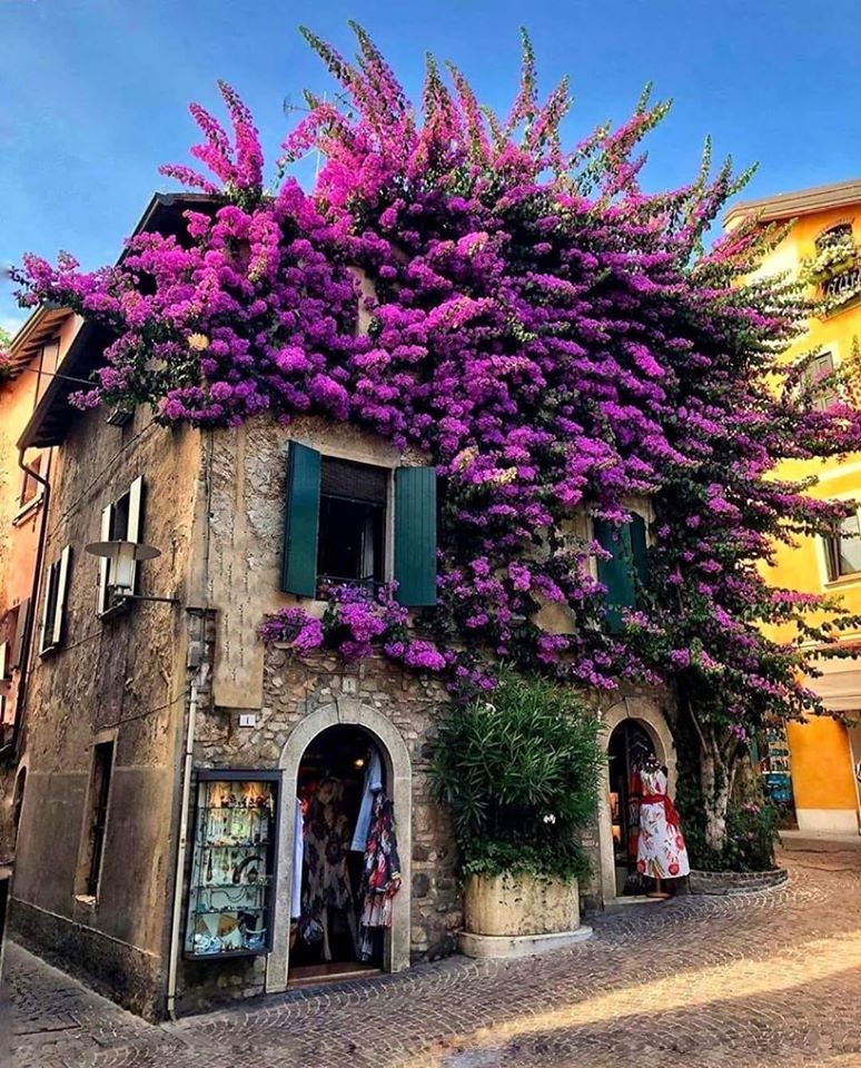 Angel Tours - Angel Tours, Via Vittorio Veneto, 150, 00187 Roma RM, Italy