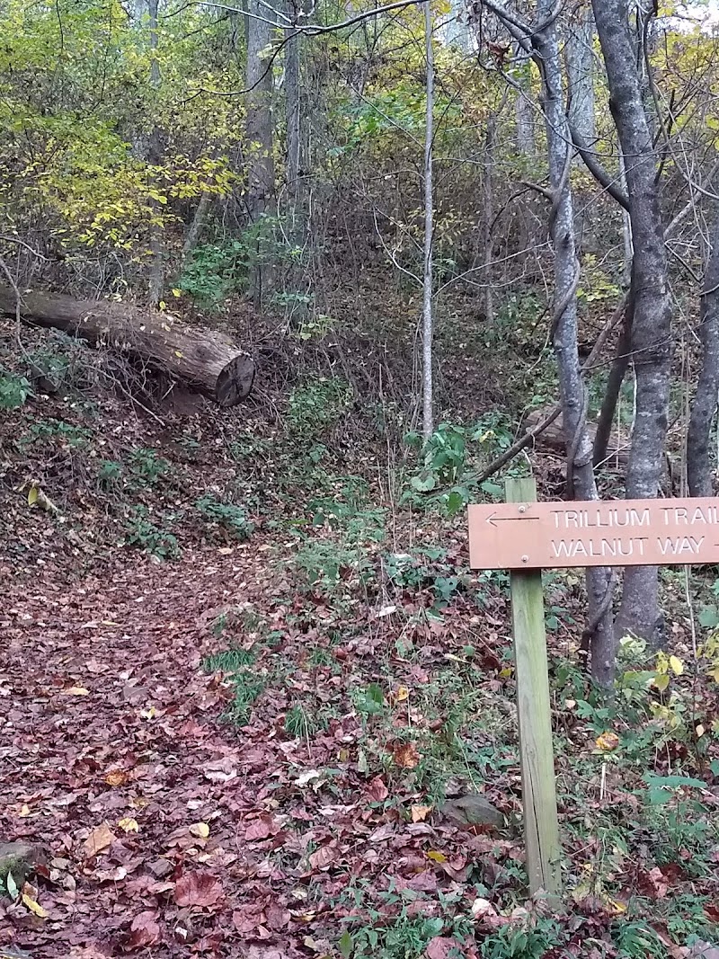 Collier Cove Nature Preserve - Collier Cove Nature Preserve 175 Rhododendron Dr, Arden, NC 28704, USA