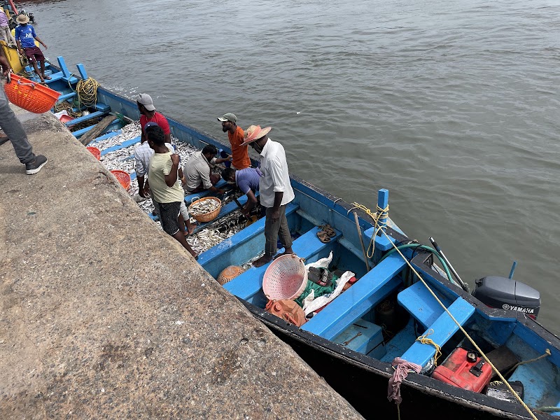 Fish market - Fish market, Malpe, Kola, Udupi, Karnataka 576108, India