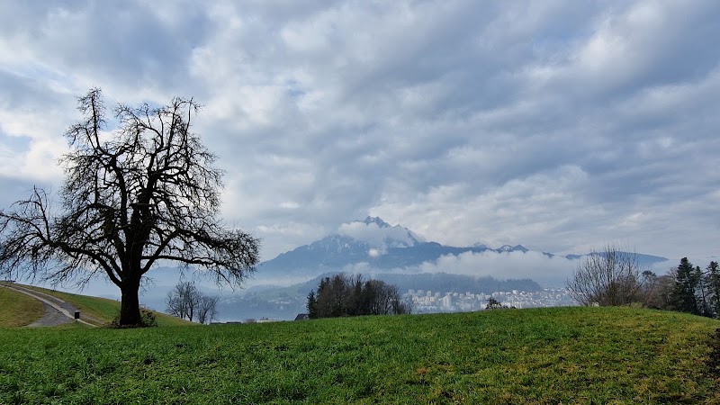 Seeburghof - Seeburghof Salzfassstrasse 37, 6006 Luzern, Switzerland