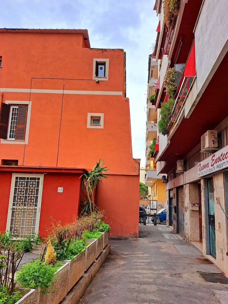 Pigneto - Pigneto, Rome, Metropolitan City of Rome Capital, Italy