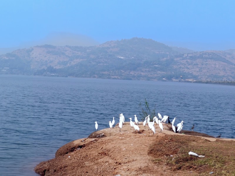 pawna lake camping for couples and family - pawna lake camping for couples and family, Near Pawna Lake, at.ambegaon, post.pawna nagar, tel.maval, dist, MFPQ+29R, Lonavala, Ambegaon, Maharashtra 410406, India