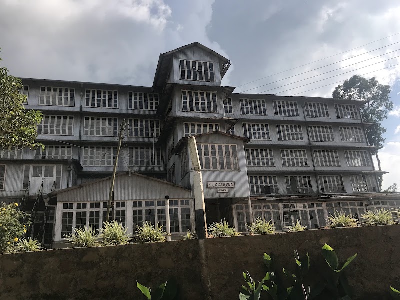 Kurugama Tea Factory - Kurugama Tea Factory, Muruthalawa, 8G4W+R86, Kurugama Tea Factory Road, Kandy 20232, Sri Lanka
