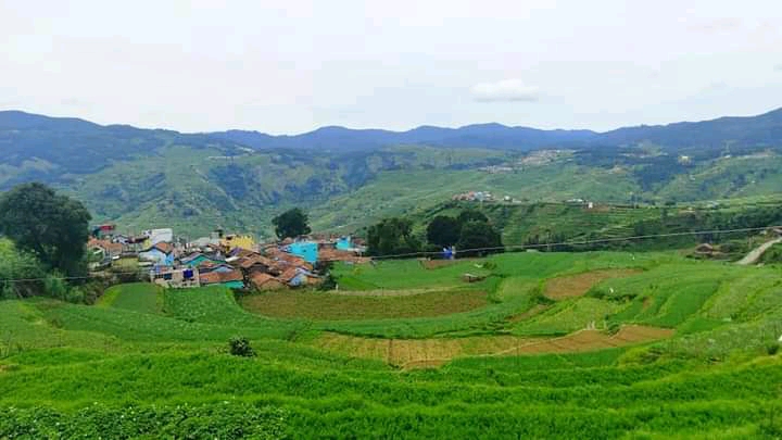 Kodaikanal Hill Station - Kodaikanal Hill Station Kodaikanal, Tamil Nadu 624101, India