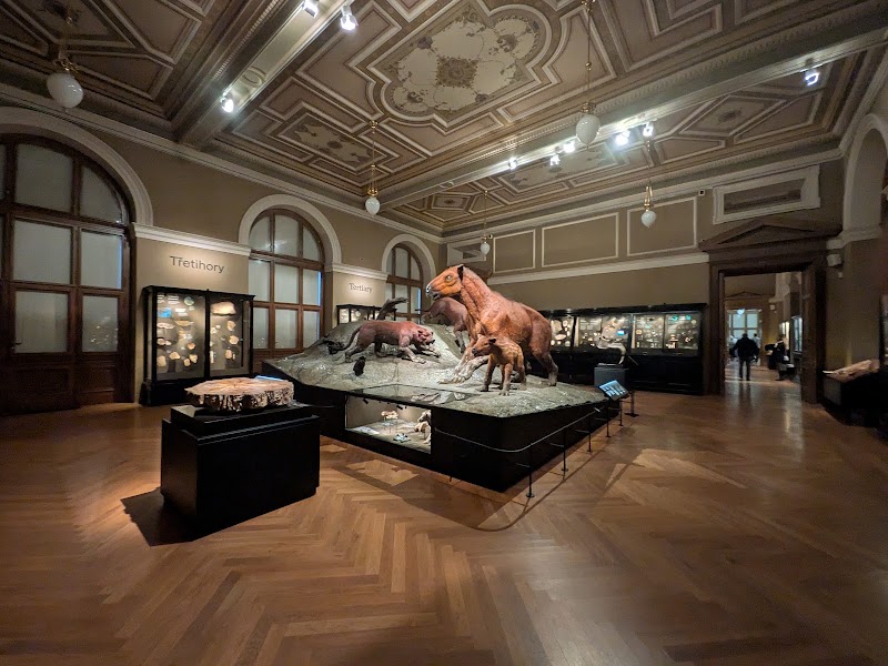 National Museum - National Museum Václavské nám. 68, 110 00 Praha 1-Nové Město, Czechia