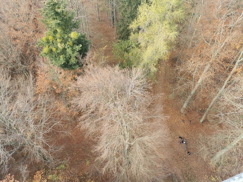 Jarník - Jarník, 397 01 Pisek-Písek 1, Czechia
