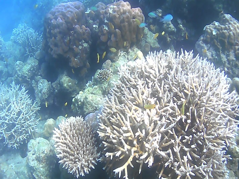 Elephant Beach