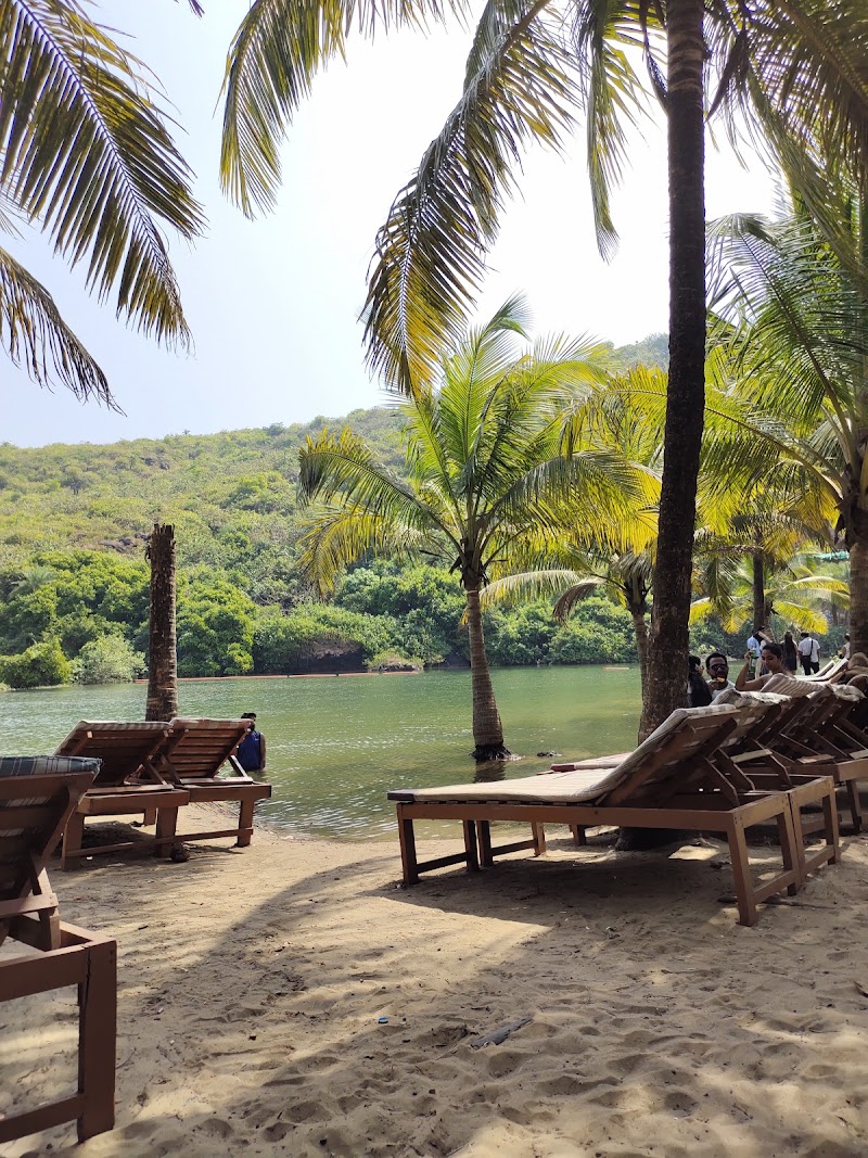 Sweet Lake - Sweet Lake Arambol, Goa 403524, India