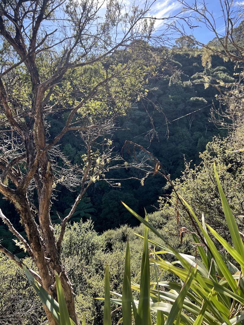 Putangirua Pinnacles Scenic Reserve and campsite - Putangirua Pinnacles Scenic Reserve and campsite, New Zealand, Cape Palliser 5772, New Zealand