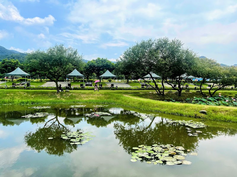 Shanjia Lotus Pond - Shanjia Lotus Pond X98Q+JR, Shulin District, New Taipei City, Taiwan 238