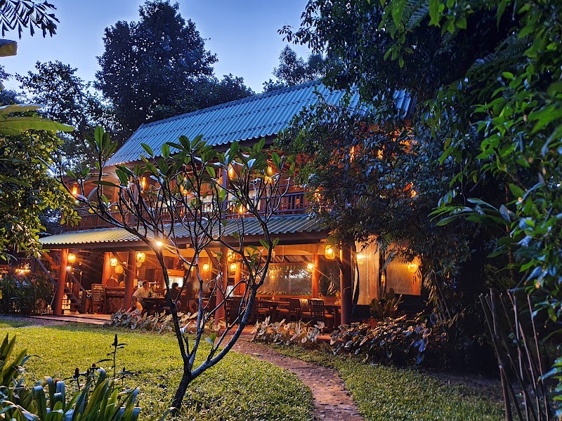Our Jungle House
