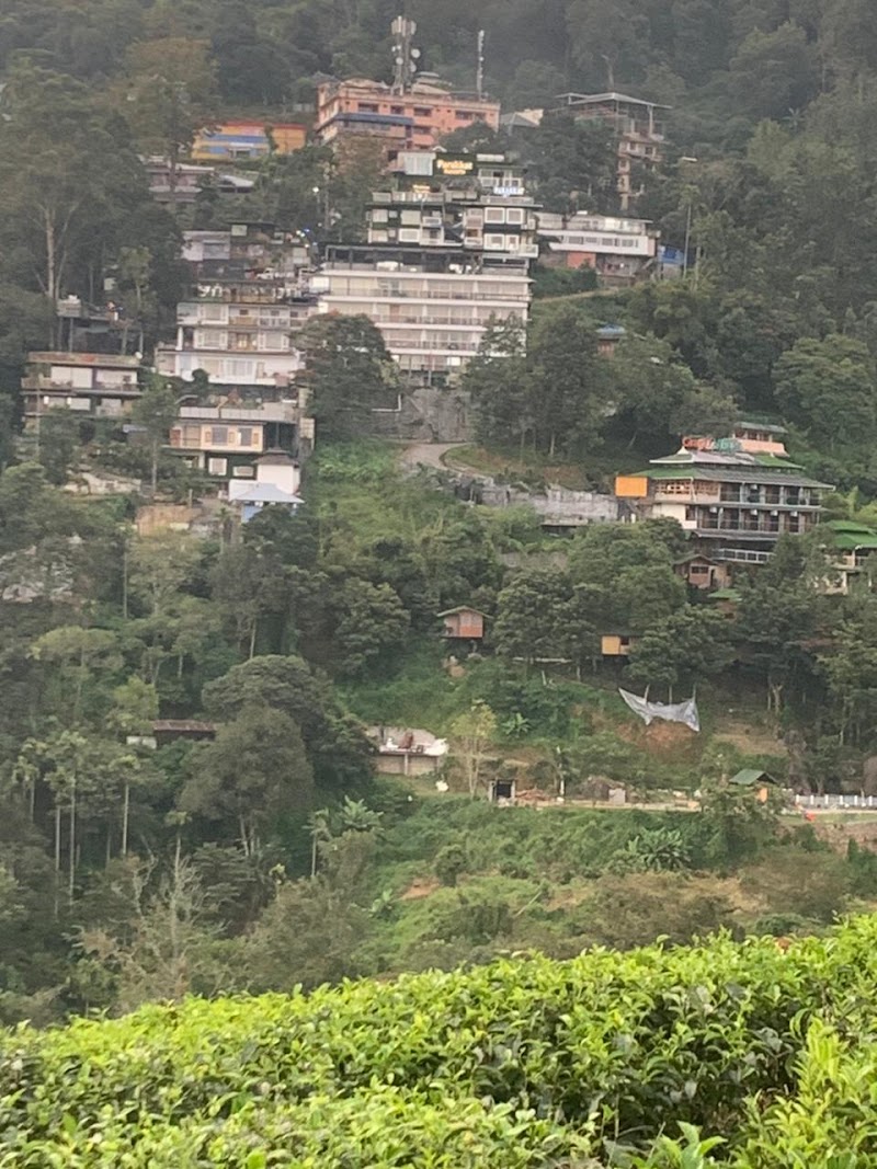 Eden Villa - Eden Villa MEENCUT, PALLIVASAL, Munnar, Chithirapuram, Kerala 685565, India