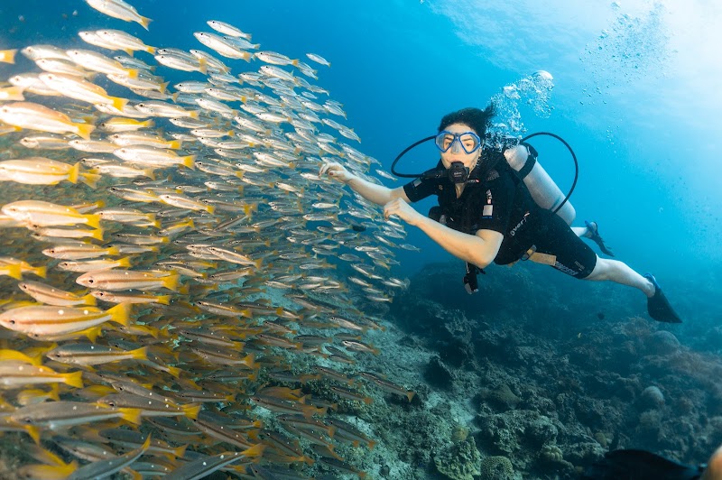 Princess Divers - Scuba Diving Phi Phi Island - Princess Divers - Scuba Diving Phi Phi Island 103 Phi Phi Island Tambon Ao Nang, Krabi Chang Wat Krabi 81000, Thailand