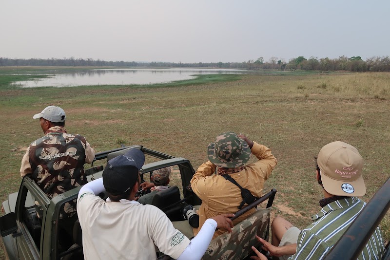Nature Explorers India - Nature Explorers India 6th floor, Nirmal Corporate Center, 604, Lal Bahadur Shastri Marg, Moti Nagar, Mulund Colony, Mulund West, Mumbai, Maharashtra 400080, India