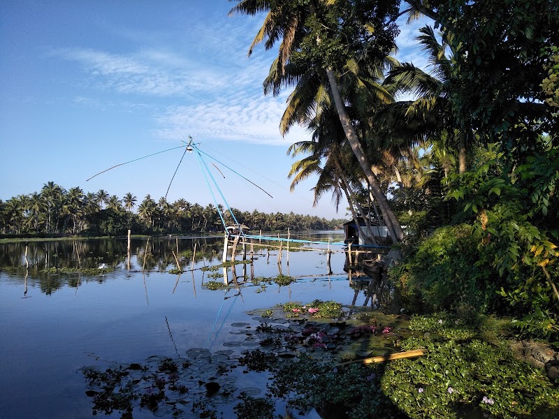 Kumarakom Bird Sanctuary - Kumarakom Bird Sanctuary, Kavanattinkara, Kumarakom, Kerala 686563, India