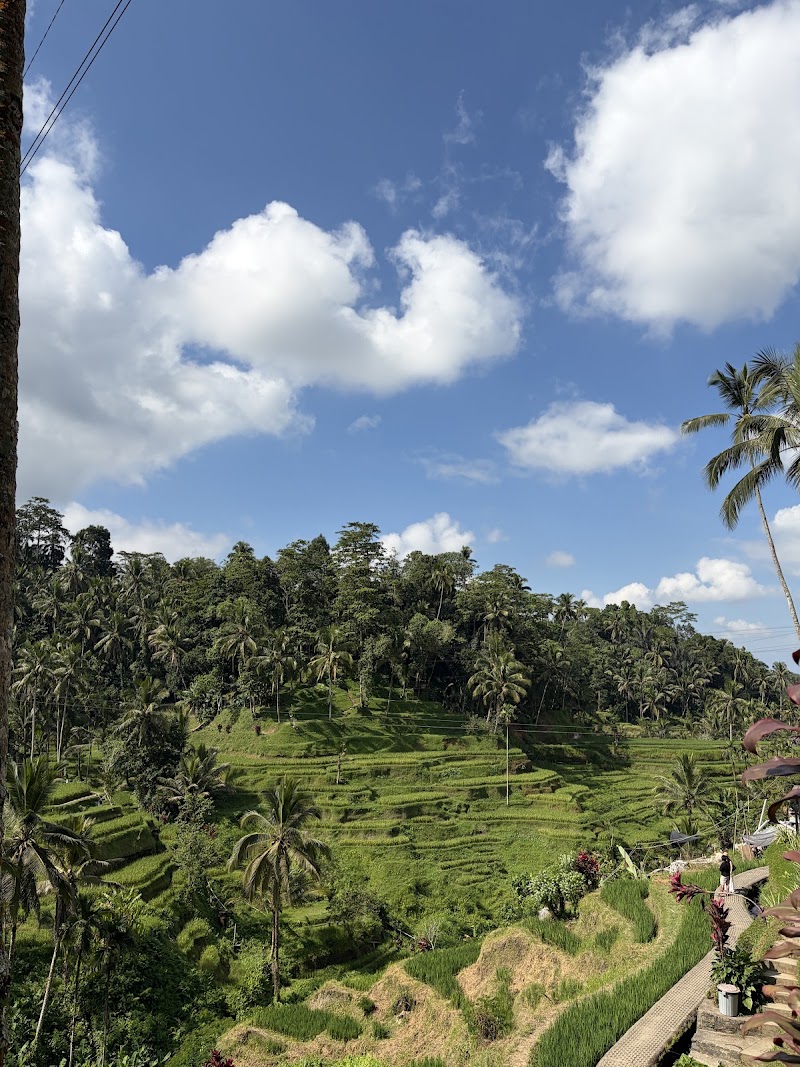 Mount Batur Jeep Adventure - Mount Batur Jeep Adventure, Gg. Beji, Ubud, Kecamatan Ubud, Kabupaten Gianyar, Bali 80571, Indonesia
