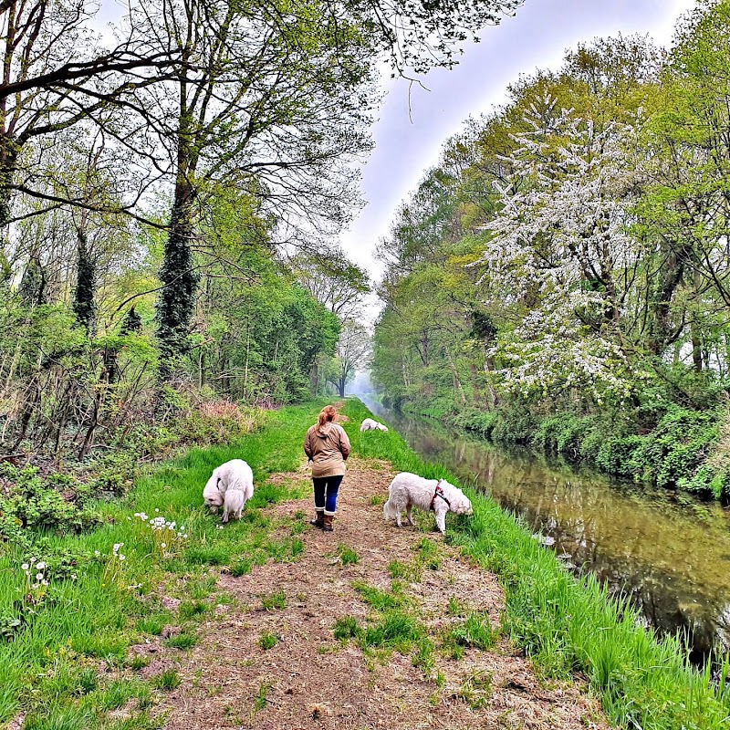 Beringe - Beringe, Netherlands
