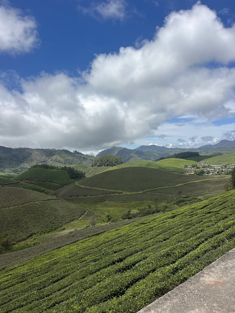 Gap Road Munnar