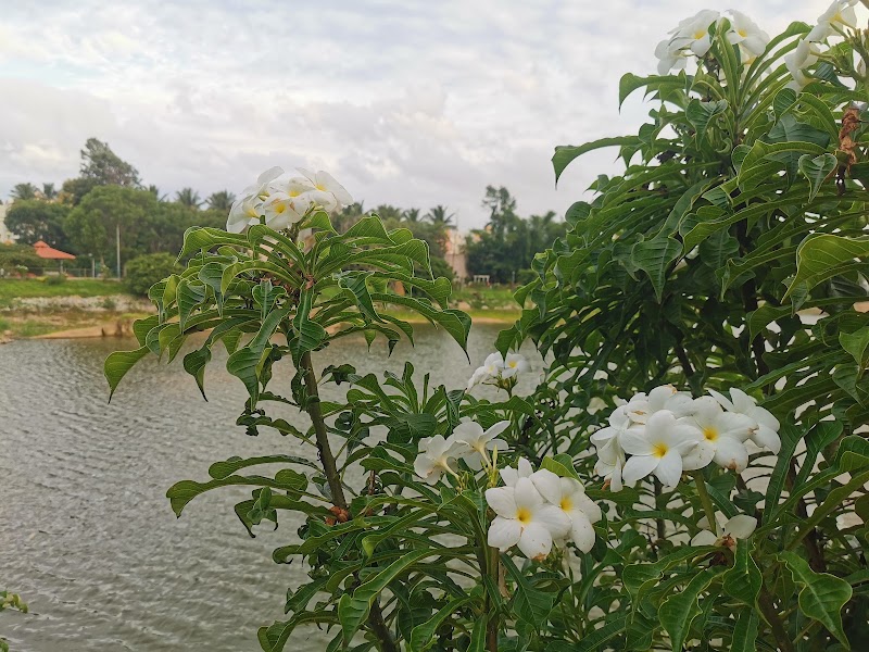 Kothanur Lake Park and Jogging Track - Kothanur Lake Park and Jogging Track 7th A Cross Rd, Nayak Layout, 8th Phase, J. P. Nagar, Bengaluru, Kothnur, Karnataka 560076, India