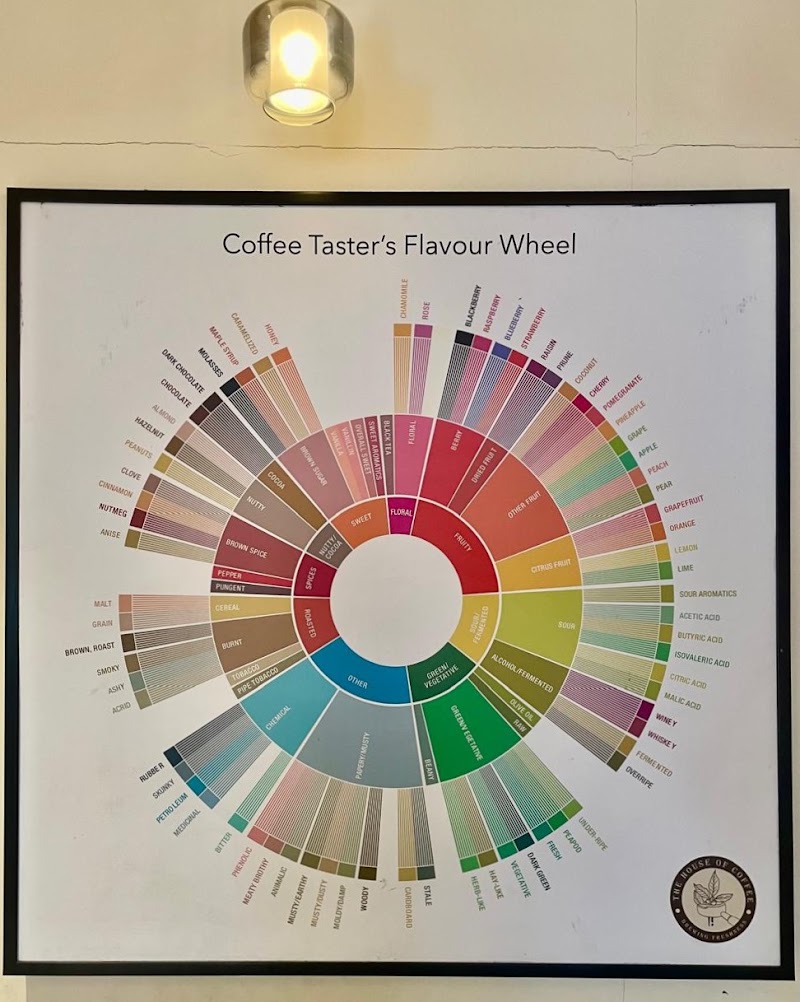 The house of coffee - The house of coffee Ground Floor, F58, Sunder Marg, C Scheme, Ashok Nagar, Jaipur, Rajasthan 302001, India