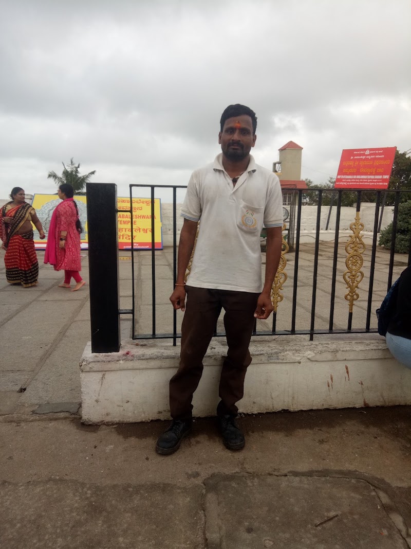 Mysore One Day Trip by Tourist Cab - Mysore One Day Trip by Tourist Cab, No.247/2, Deshikachar Road, Subbarayanakere, Lakshmipuram, Mysuru, Karnataka 570004, India