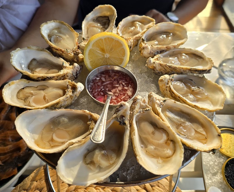 Dibba Bay Oysters - Dibba Bay Oysters Fishing Harbour 2 - أم سقيم الأولى - ام سقيم 1 - دبي - United Arab Emirates